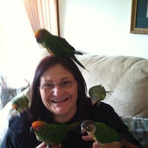 Meet your Posher, Marie